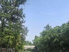 -白水寺森林公园