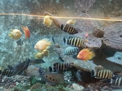 -东方巨龟苑景区