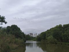 -同里国家湿地公园