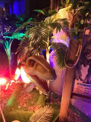 -恐龙探索乐园(磁器口店)