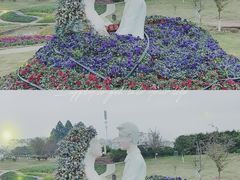 -紫颐香薰山谷景区