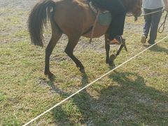-红栌温泉山庄生态美食餐厅
