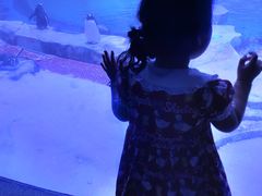 -海昌极光餐厅