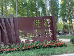 -黄海国家森林公园