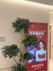 -深圳美莱医疗美容医院