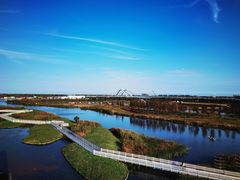 -春花秋色城市公园