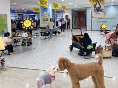 -开元商城(西旺店)