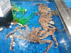 -盒马鲜生(和谐广场店)