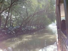 -大湾区中央湿地公园