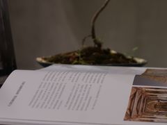 -二酉书店TOYOU BOOKS