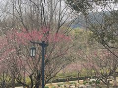 -兰亭风景区