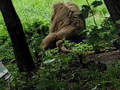 -哈尔滨北方森林动物园