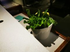 -百年果林椰子鸡(中洲店)