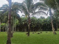 -中国科学院西双版纳热带植物园