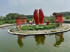 -白洋淀风景区