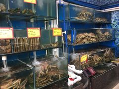 水产区-蚝专家(北滘店)