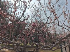 -元大都城垣遗址公园