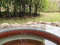 -庐山上汤温泉度假村