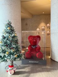 -VELEE·SPA高定疗愈会所