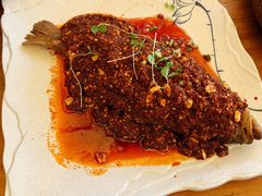 -云里小坐·小院里·团建·宴请·下午茶(三圣乡店)