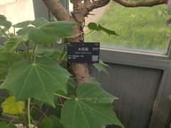 -国家植物园南园