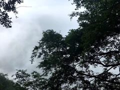 -陕西省红河谷森林公园