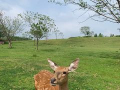 -良渚古城遗址公园