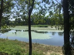 湖泊-鉴湖国家城市湿地公园