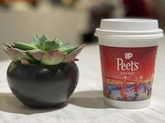 -Peet's 皮爷咖啡(陆家嘴中心店)