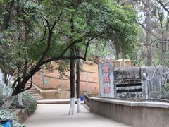-昆明动物园