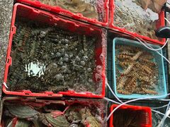-霞涌市场海鲜摆卖区