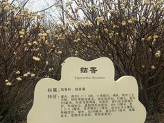 -洨河生态公园