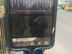 -首都医科大学附属北京地坛医院