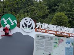 -西岭雪山大飞水景区