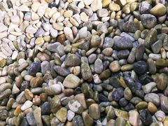 -金沙汤泉·足道洗浴汗蒸