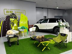 -上海浦东smart汽车全功能店(金桥店)