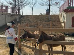 -盈香心动乐园