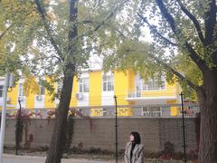 -三里屯东五街银杏大道