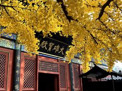 -红螺寺
