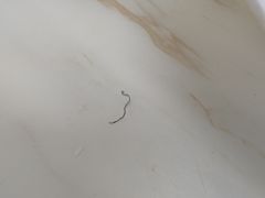 -何记鳝鱼面馆(开发区分店)