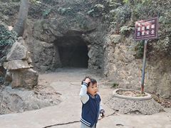 -上海佘山国家森林公园天马山园