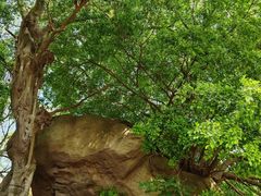 -草庵摩尼教遗址公园