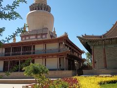 -张掖大佛寺景区