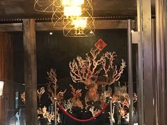 -绮丽珊瑚(台北101旗舰门市店)