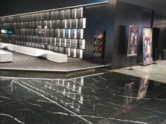 -奥斯卡升龙国际影城(RealD Cinema)