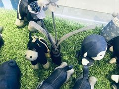 -国际工艺品城