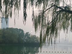 -天鹅湖体育公园