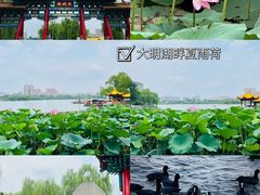 -济南大明湖景区