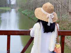 -黄海国家森林公园