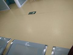 -瑞派·关忠动物医院·猫专科·犬专科(三环新城店)